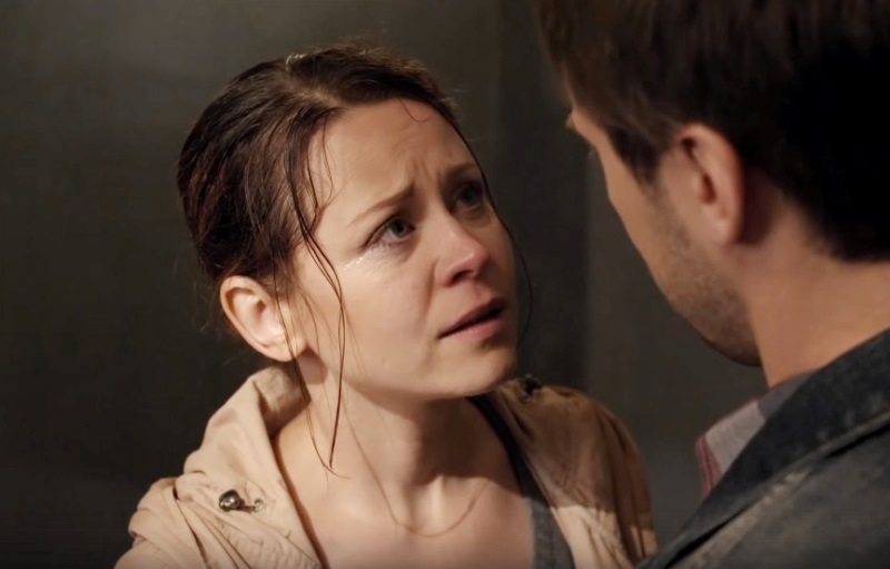    (2017)
