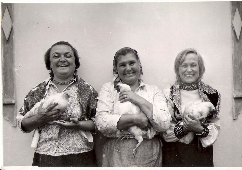   - "  " (1972)