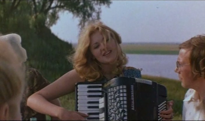    (1981)