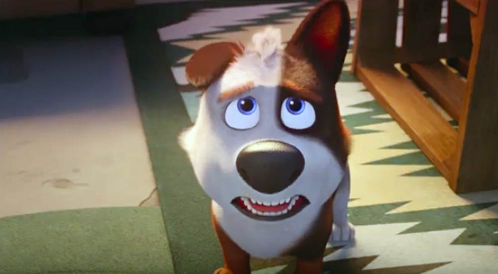   (2019)