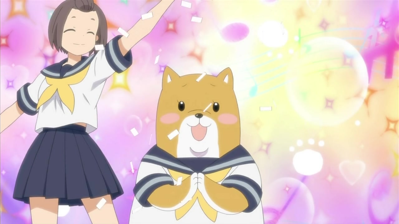Shiba Nanasei