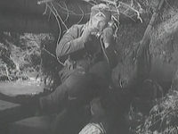   12 (1942)