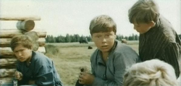   (1975)
