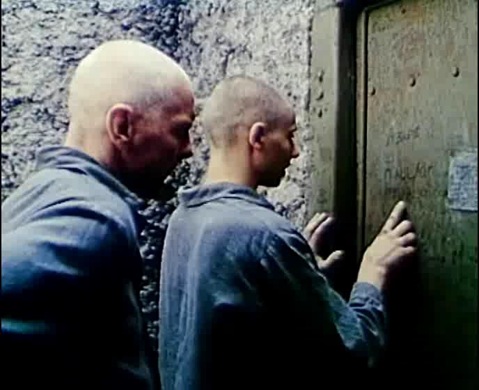 Лошади в океане (1989)