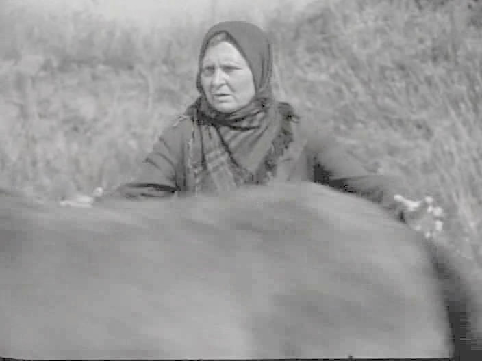   (1946)