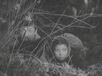    11 (1942)