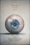 Инцидент в Грейсфилде (2017)